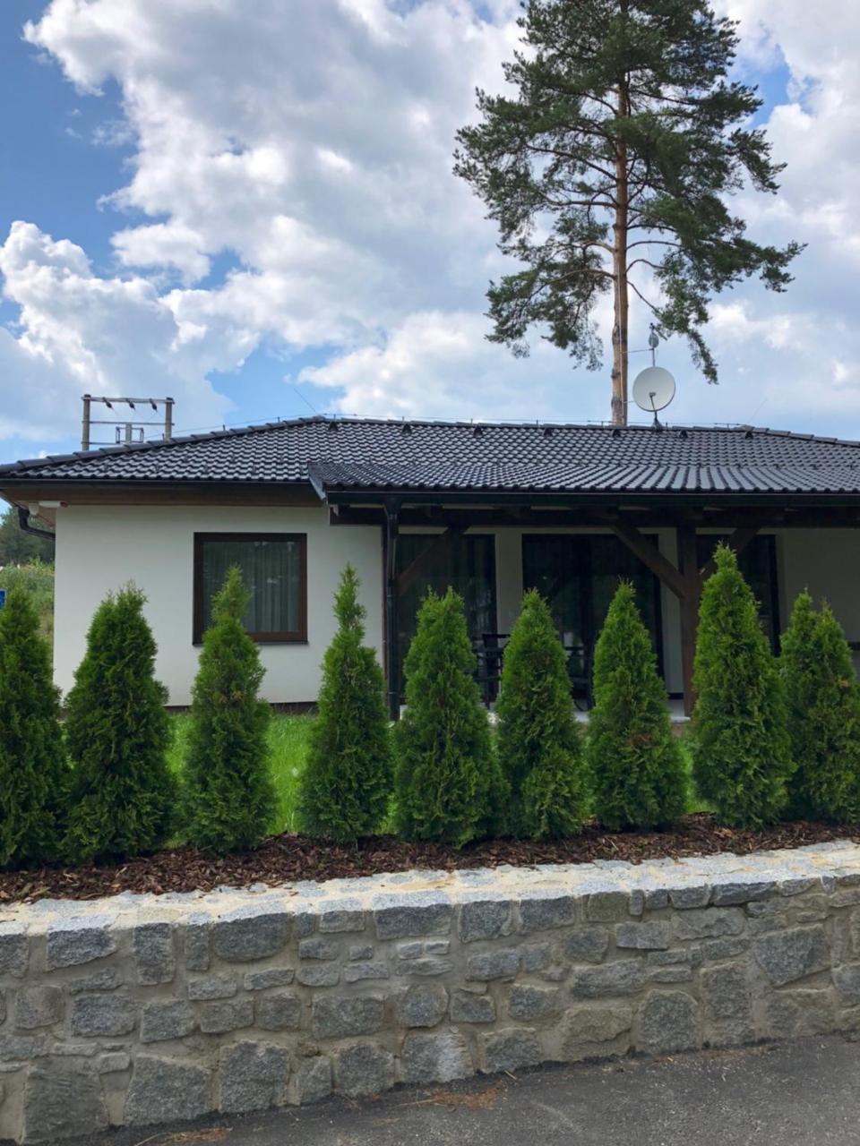 Vila Hanka Villa Lipno nad Vltavou Eksteriør bilde